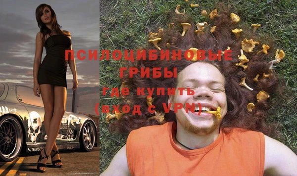 прущие крисы Аркадак