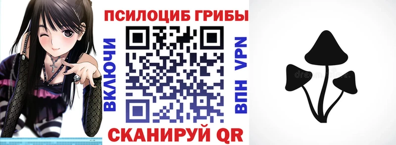 Псилоцибиновые грибы мицелий  Мытищи 